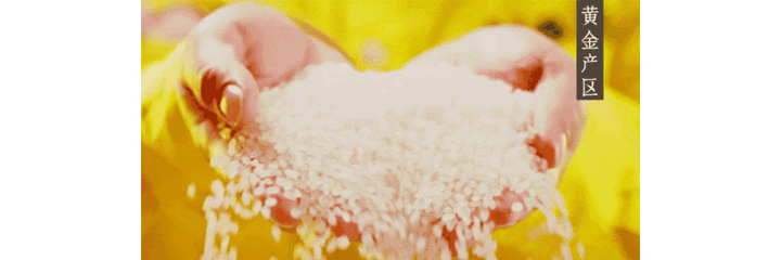 图3.gif
